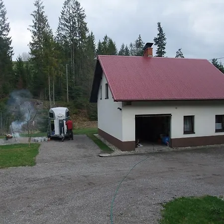 Konsko Sigla