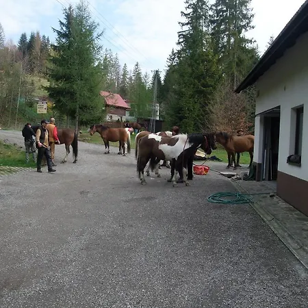 Дом отдыха Konsko Sigla