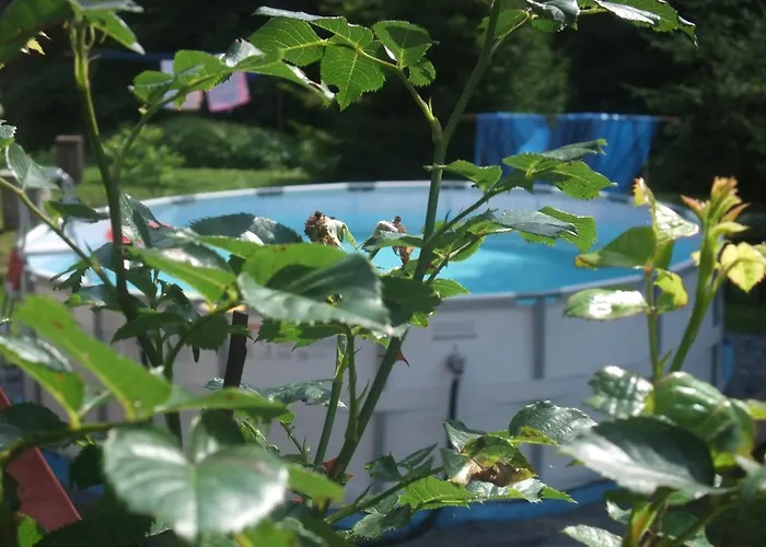 Konsko Sigla * Wisla