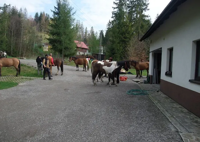 Holiday home Konsko Sigla