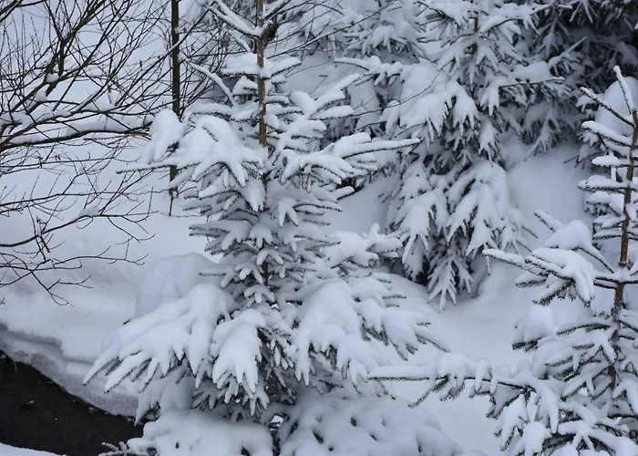 Konsko Sigla Holiday home Wisla